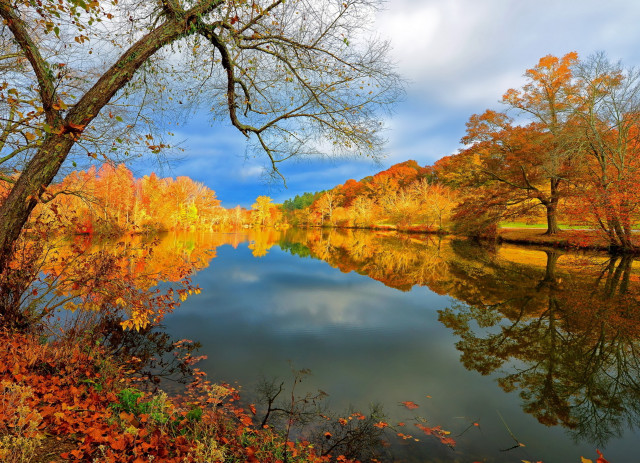 Lake fall foliage impressionist scenery free wallpaper for desktop - medium preview image