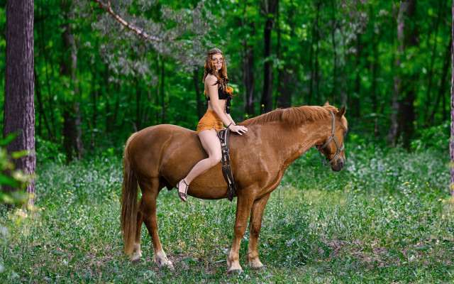 Woman horse forest outdoors nature free wallpaper for desktop - medium preview image
