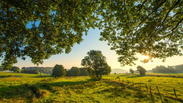 Sunset fence trees park bench free wallpaper for desktop - medium preview image