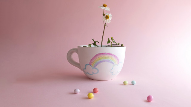 Cup flower candy rainbow naive #2 free wallpaper for desktop - medium preview image