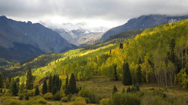Mountain range forest clouds lake #2 free wallpaper for desktop - medium preview image
