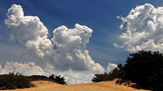 Large cloud dirt road trees free wallpaper for desktop - medium preview image