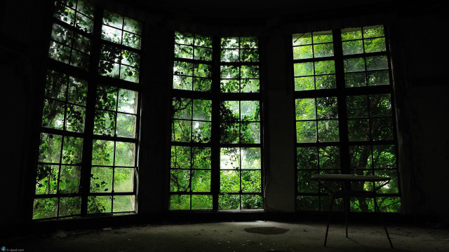 Room windows table chair trees free wallpaper for desktop - medium preview image