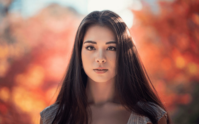 Woman long hair tree orange free wallpaper for desktop - medium preview image