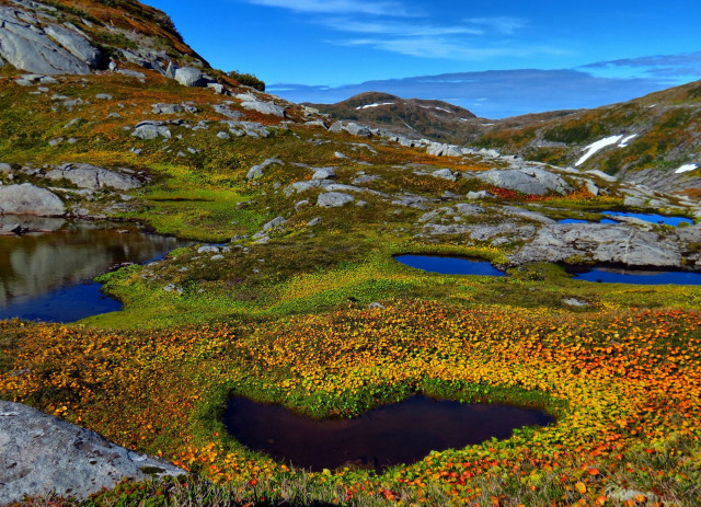 Autumn pond flowers mountains sky free wallpaper for desktop - medium preview image