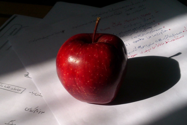 Red apple pile papers shadow free wallpaper for desktop - medium preview image
