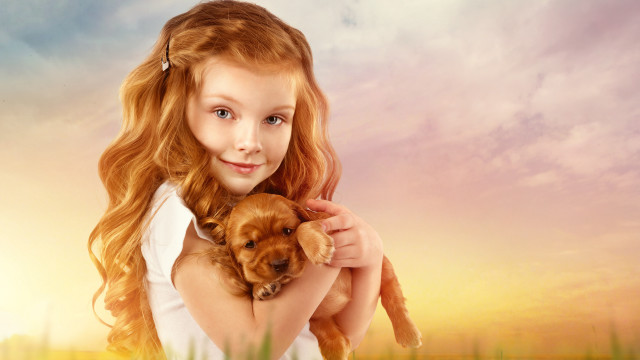 Girl puppy field sunset digital free wallpaper for desktop - medium preview image