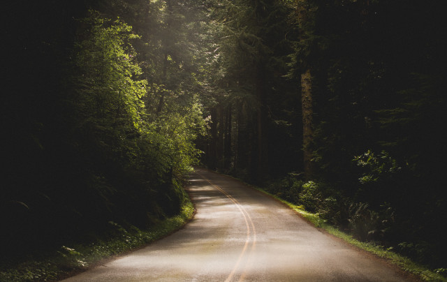 Forest road light shine nature free wallpaper for desktop - medium preview image