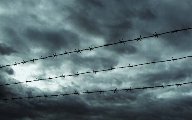 Barbed wire fence bird cloudy free wallpaper for desktop - medium preview image