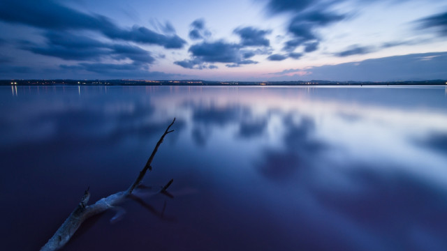 Tree branch lake night sky free wallpaper for desktop - medium preview image