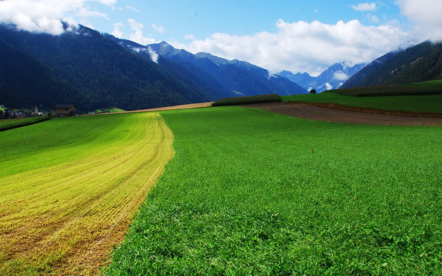 Green field yellow line mountains free wallpaper for desktop - medium preview image