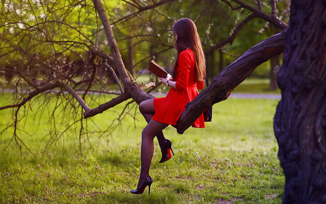 Woman red dress reading in free wallpaper for desktop - medium preview image