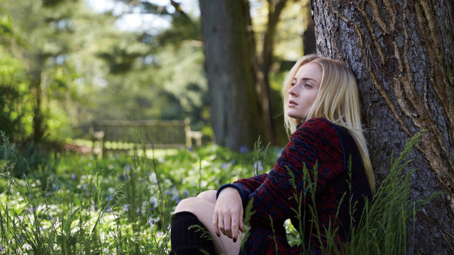 Woman sitting forest tree fence free wallpaper for desktop - medium preview image
