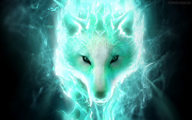 Glowing green wolf blue eyes free wallpaper for desktop - medium preview image
