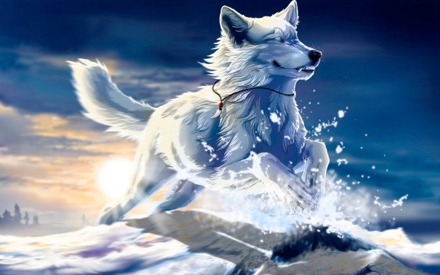 White wolf running water red free wallpaper for desktop - medium preview image