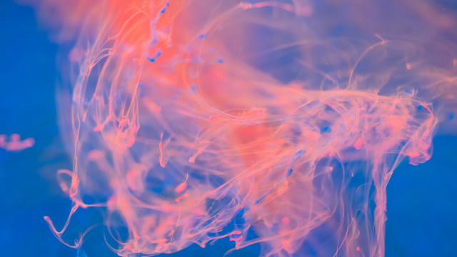 Blue red liquid cloudy sky #2 free wallpaper for desktop - medium preview image