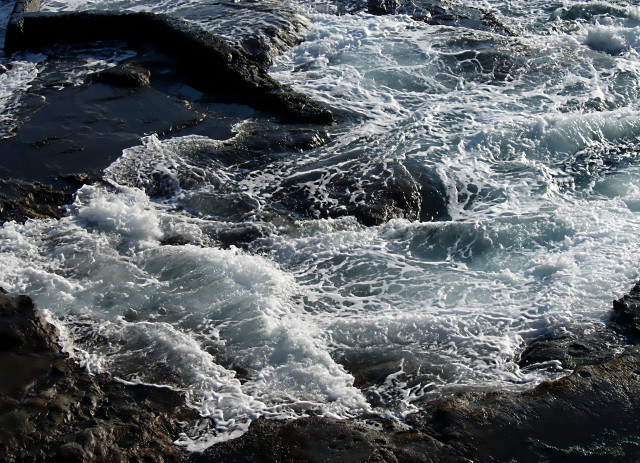 Bird rock water beach waves free wallpaper for desktop - medium preview image