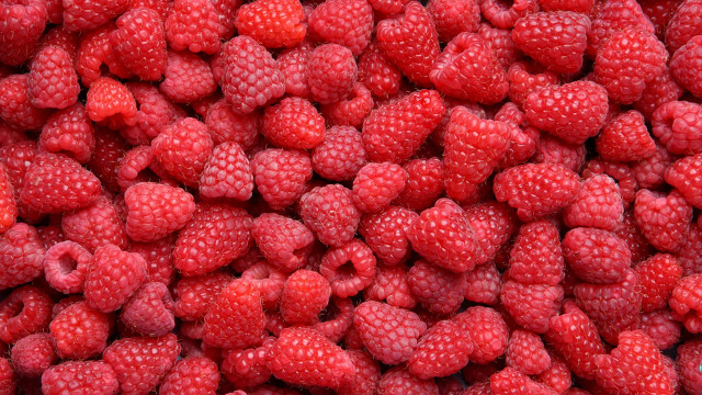 Raspberries macro photograph food flower free wallpaper for desktop - medium preview image
