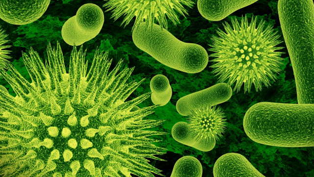 Green cell green stuff neoplasticism free wallpaper for desktop - medium preview image