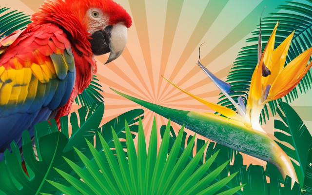 Colorful parrot 3d bamboo jungle free wallpaper for desktop - medium preview image