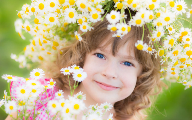 Daisy girl flower wreath field free wallpaper for desktop - medium preview image