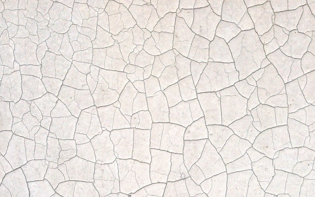Cracked wall black cat brick free wallpaper for desktop - medium preview image