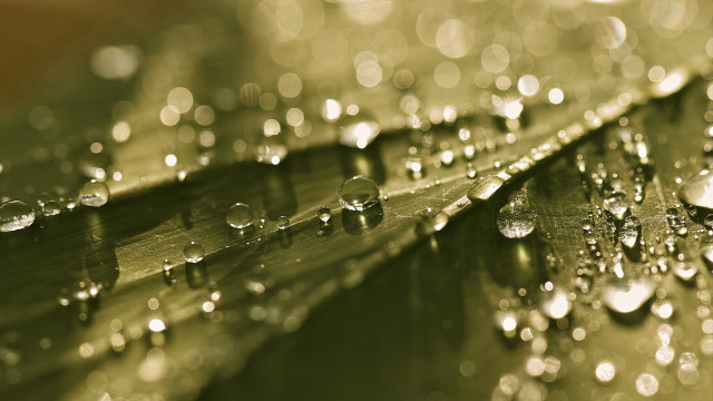Leaf water droplets bokeh christmas #3 free wallpaper for desktop - medium preview image