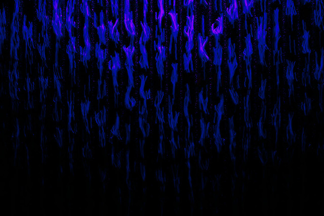 Black purple water droplets blue free wallpaper for desktop - medium preview image