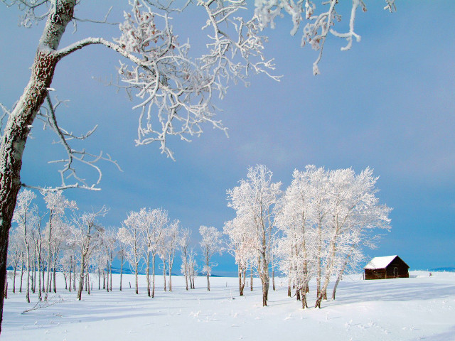 Snowy landscape cabin trees blue free wallpaper for desktop - medium preview image