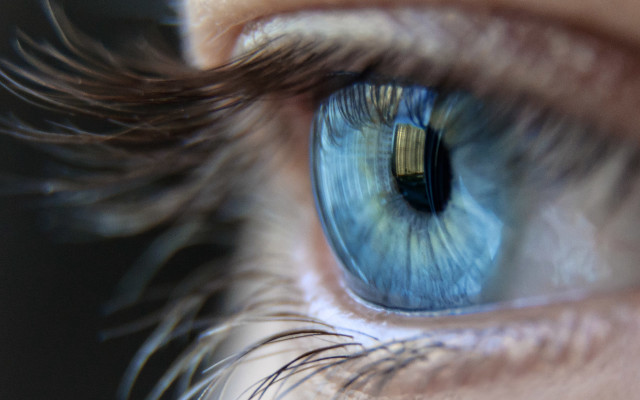 Blue eye iris building reflection free wallpaper for desktop - medium preview image