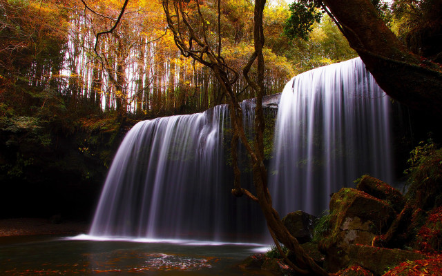 Waterfall tree stream fall foliage free wallpaper for desktop - medium preview image