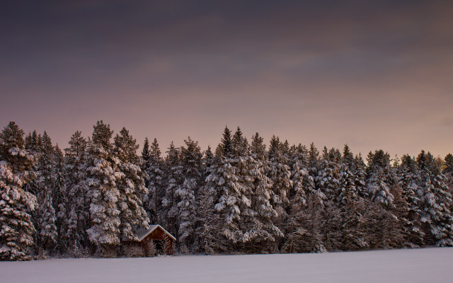 Snowy cabin forest autumn sunset #2 free wallpaper for desktop - medium preview image
