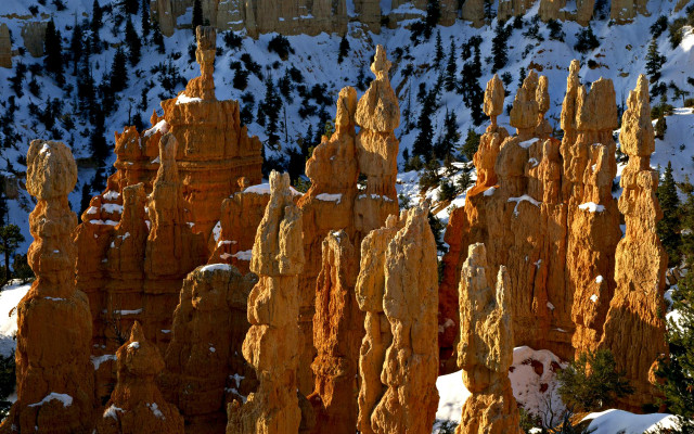 Tall rocks snow mountain forest free wallpaper for desktop - medium preview image