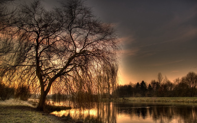 Sunset tree water landscape nature free wallpaper for desktop - medium preview image