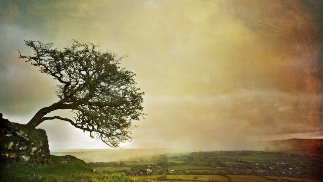 Lone tree hill cloudy sky free wallpaper for desktop - medium preview image
