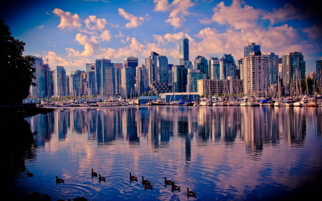 City skyline lake ducks clouds free wallpaper for desktop - medium preview image