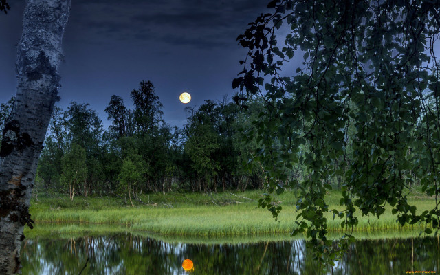 Full moon forest pond night free wallpaper for desktop - medium preview image