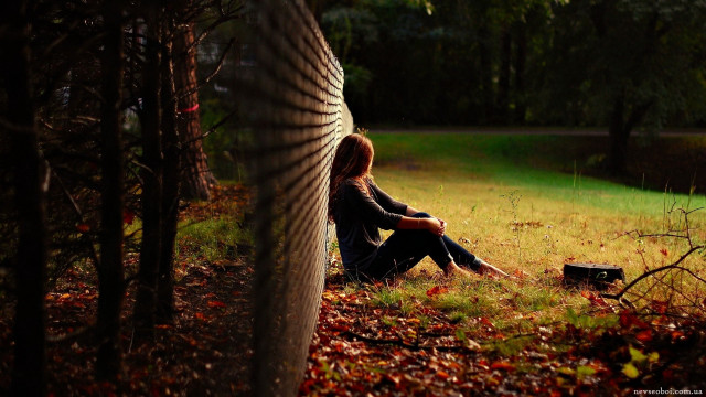 Woman leaves grass tree light free wallpaper for desktop - medium preview image