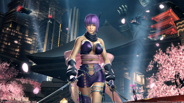 Purple woman sword cherry blossoms free wallpaper for desktop - medium preview image