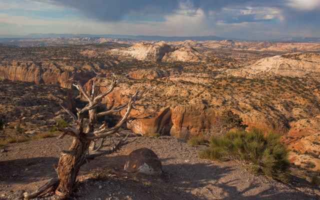 Desert tree mountains cloudy sky free wallpaper for desktop - medium preview image