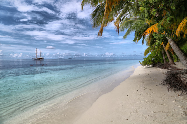 Boat beach palm cloudy mountain free wallpaper for desktop - medium preview image