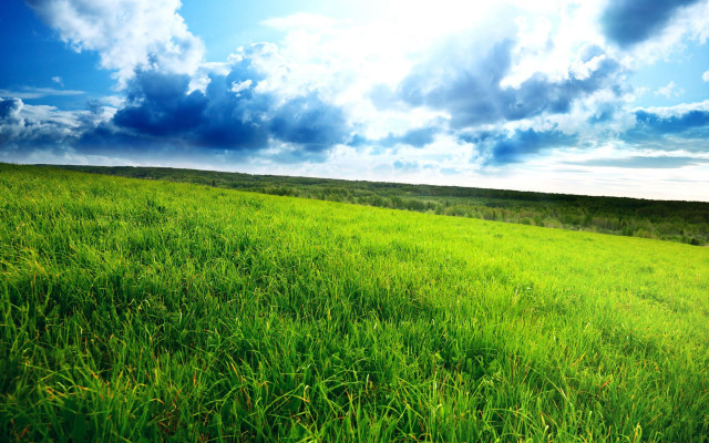 Grassy field blue sky clouds #7 free wallpaper for desktop - medium preview image