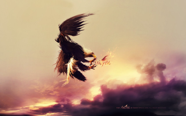 Bird flying sky clouds mountain free wallpaper for desktop - medium preview image