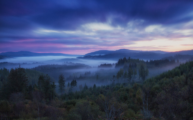 Forest mountains sunset fog nature free wallpaper for desktop - medium preview image