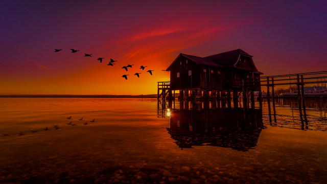 Birds flying sunset house stilts free wallpaper for desktop - medium preview image