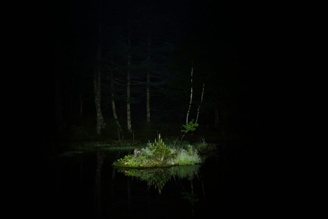 Small island lake night light free wallpaper for desktop - medium preview image