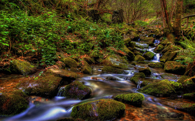 Lush green forest stream waterfall #3 free wallpaper for desktop - medium preview image
