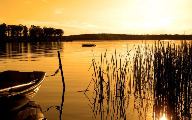 Boat water sunset reeds cityscape free wallpaper for desktop - medium preview image