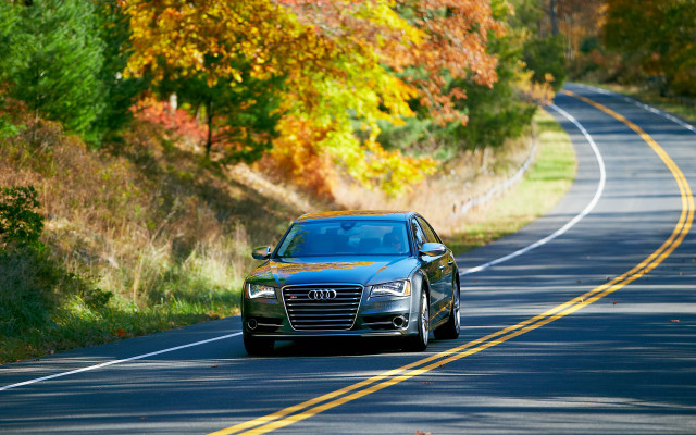 Autumn car road trees leaves free wallpaper for desktop - medium preview image