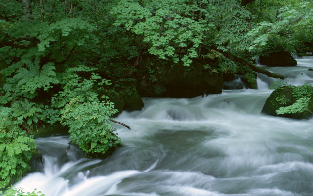 River forest rapids nature landscape free wallpaper for desktop - medium preview image